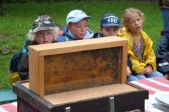 129_Bienestanderk.13