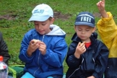 131_Bienenstanderk.11