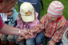 136_Bienenstanderk.5