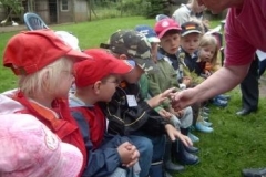 138_Bienenstanderk.7