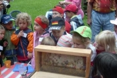 139_Bienenstanderk.8