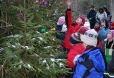 89_vorwitzigerWeihnachtsbaum002