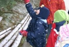 90_vorwitzigerWeihnachtsbaum003