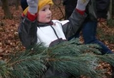 91_vorwitzigerWeihnachtsbaum004