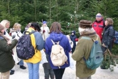 95_vorwitzigerWeihnachtsbaum008