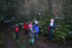 96_vorwitzigerWeihnachtsbaum009