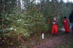 97_vorwitzigerWeihnachtsbaum010