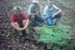 101_Waldfuehrungen003