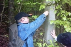 103_Waldfuehrungen005