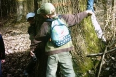 104_Waldfuehrungen006