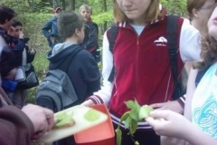 105_Waldfuehrungen007