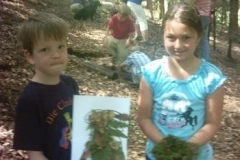 107_Waldfuehrungen009