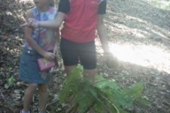 108_Waldfuehrungen010