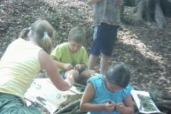 110_Waldfuehrungen001