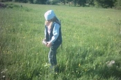 44_Wiesenfuehrungen001