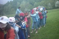 46_Wiesenfuehrungen003