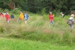 50_Wiesenfuehrungen007