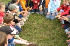 51_Wiesenfuehrungen008