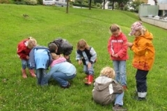 52_Wiesenfuehrungen009