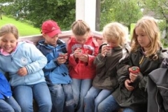 53_Wiesenfuehrungen010