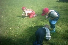 54_Wiesenfuehrungen011