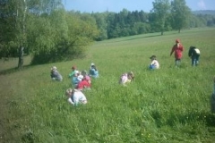 56_Wiesenfuehrungen014