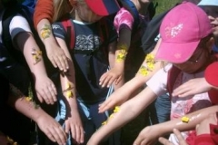 59_Wiesenfuehrungen016